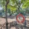 a playground with trees and a slide